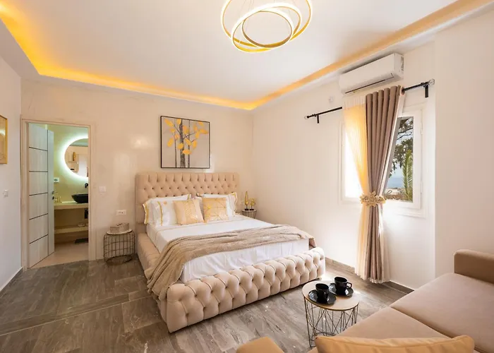 Aina * 카르테라도스